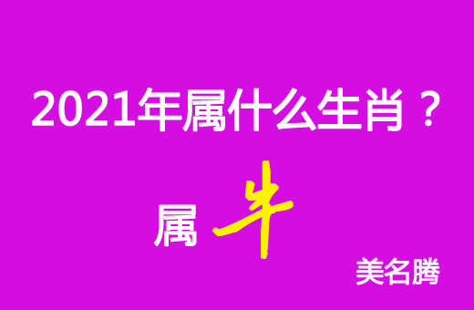 2021年屬什么生肖？2021年屬牛